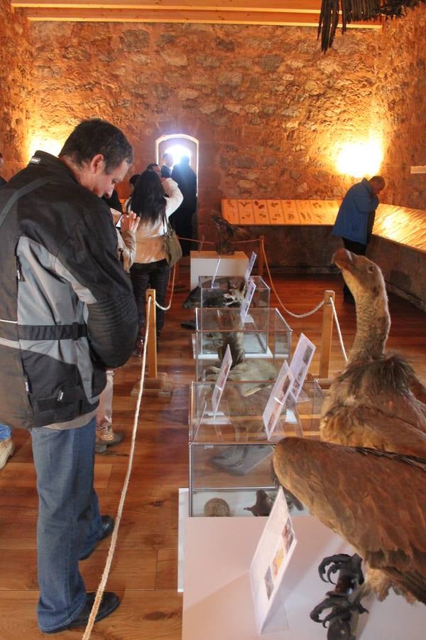 Inauguración de la cuarta fase del castillo de Préjano