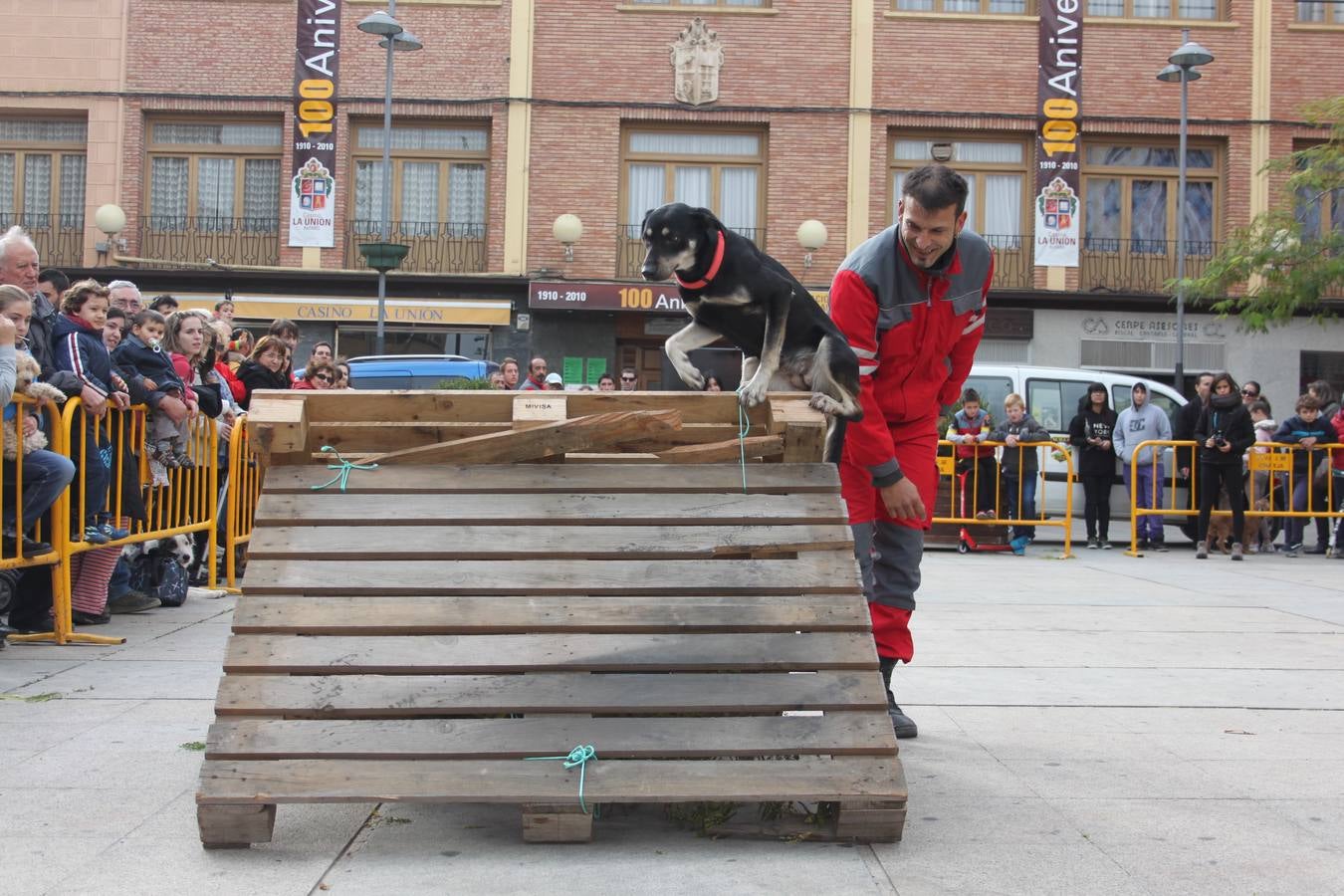 I Cani cross ciudad de Alfaro