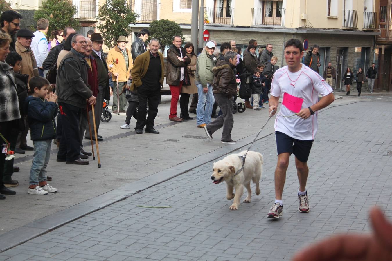 I Cani cross ciudad de Alfaro