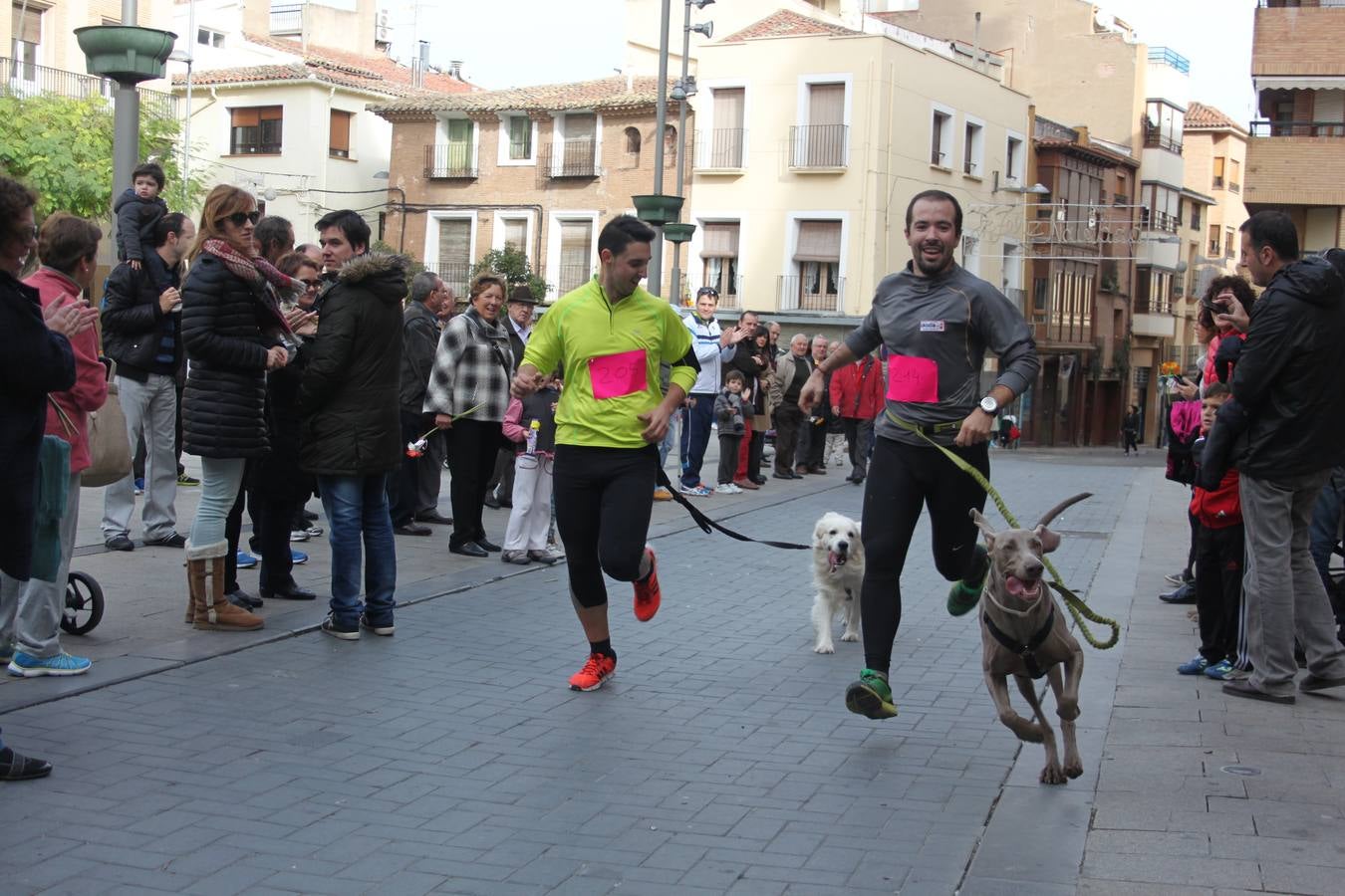 I Cani cross ciudad de Alfaro