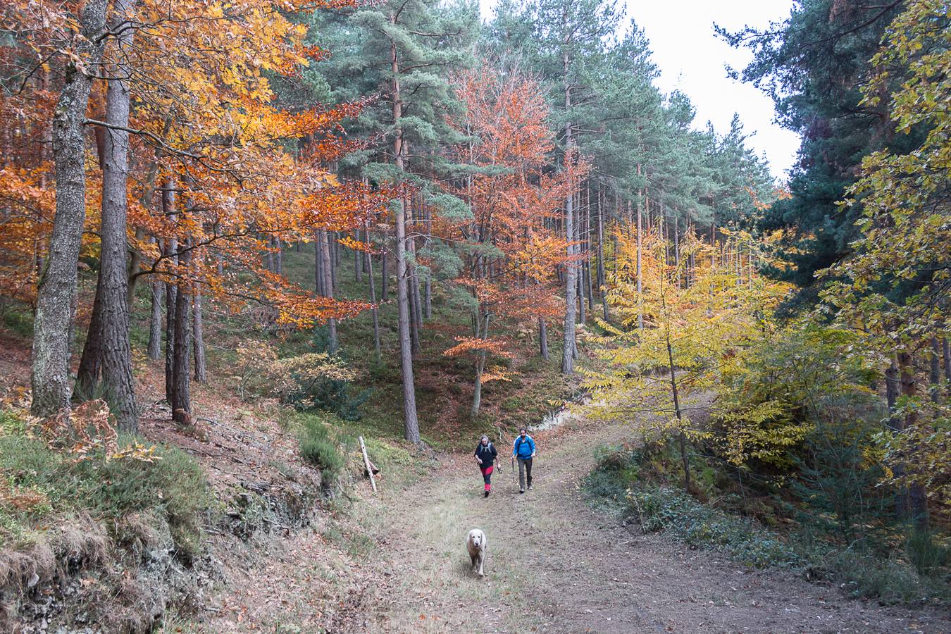 I Marcha Sampol Experience. El otoño calceatense en todo su esplendor