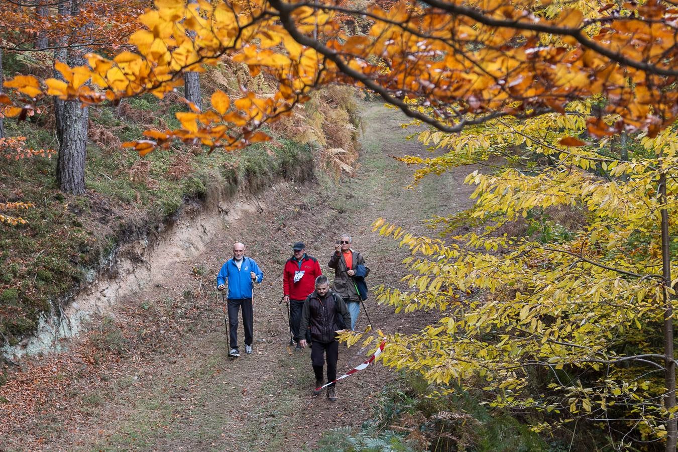 I Marcha Sampol Experience. El otoño calceatense en todo su esplendor