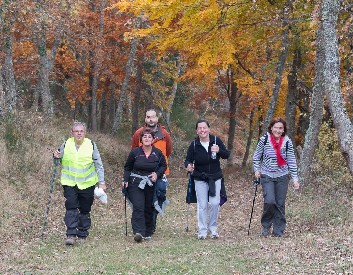 I Marcha Sampol Experience. El otoño calceatense en todo su esplendor