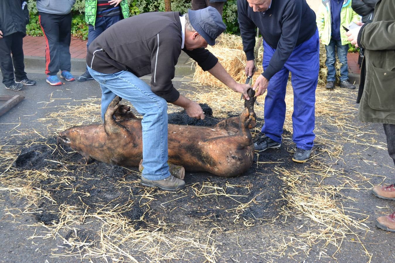 Día de la matanza en Ventosa