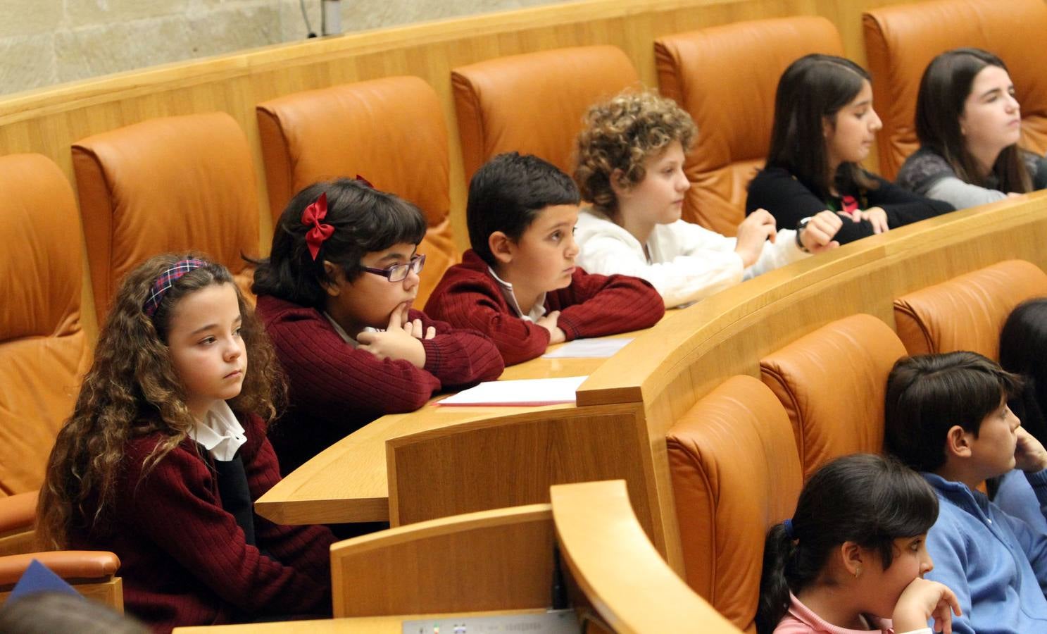 El Parlamento riojano acoge la lectura de la Constitución