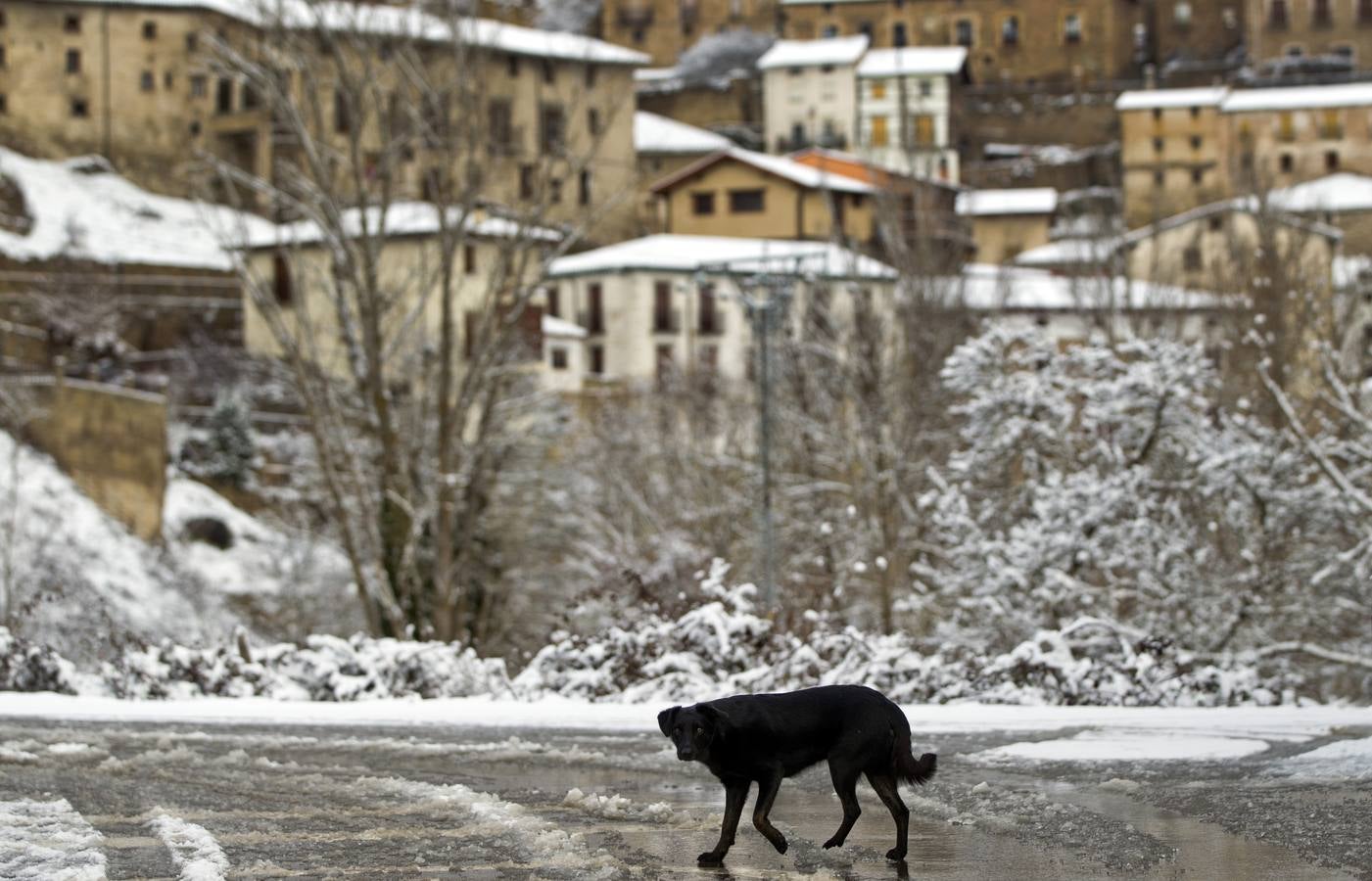 Nieve en la sierra riojana