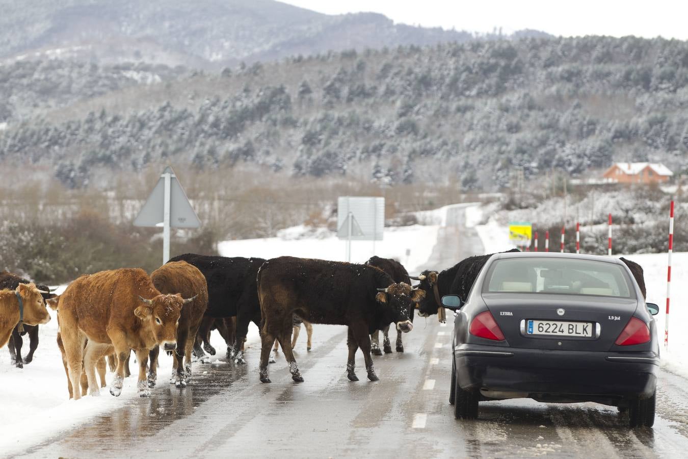 Nieve en la sierra riojana