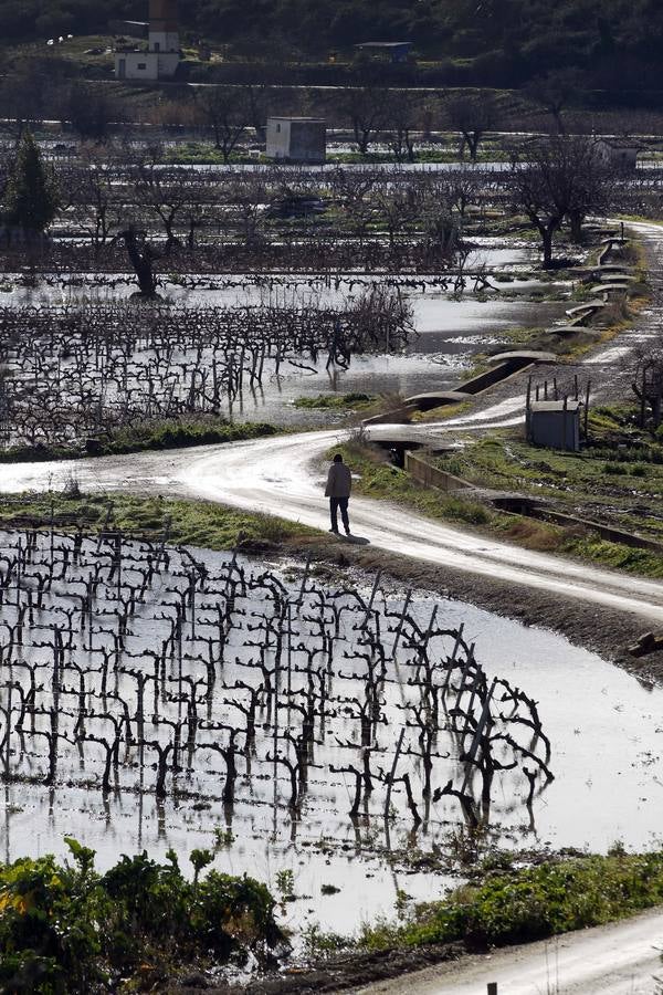 Los efectos del temporal