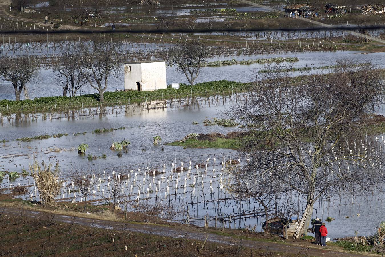 Los efectos del temporal