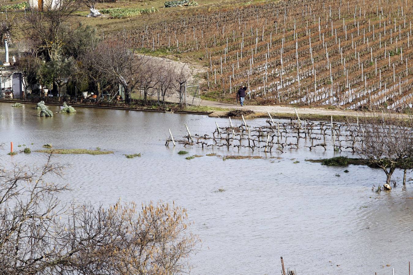 Los efectos del temporal