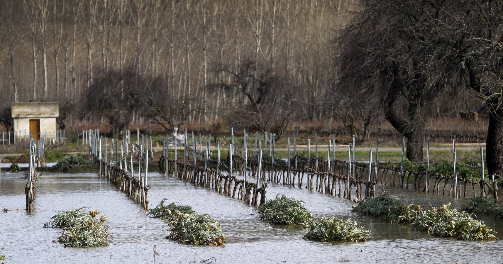 Los efectos del temporal