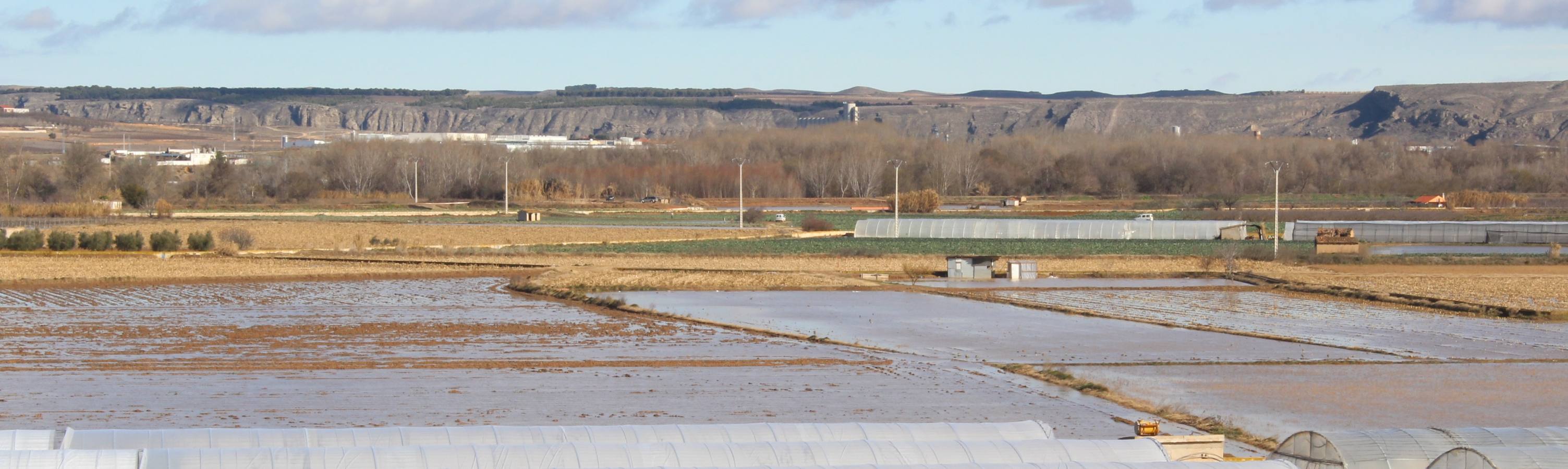 Los campos de Calahorra, anegados tras la riada