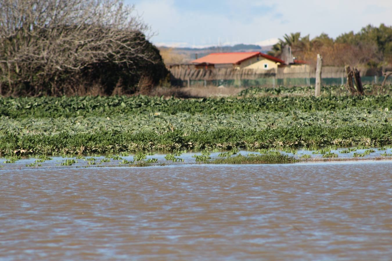 Los campos de Calahorra, anegados tras la riada