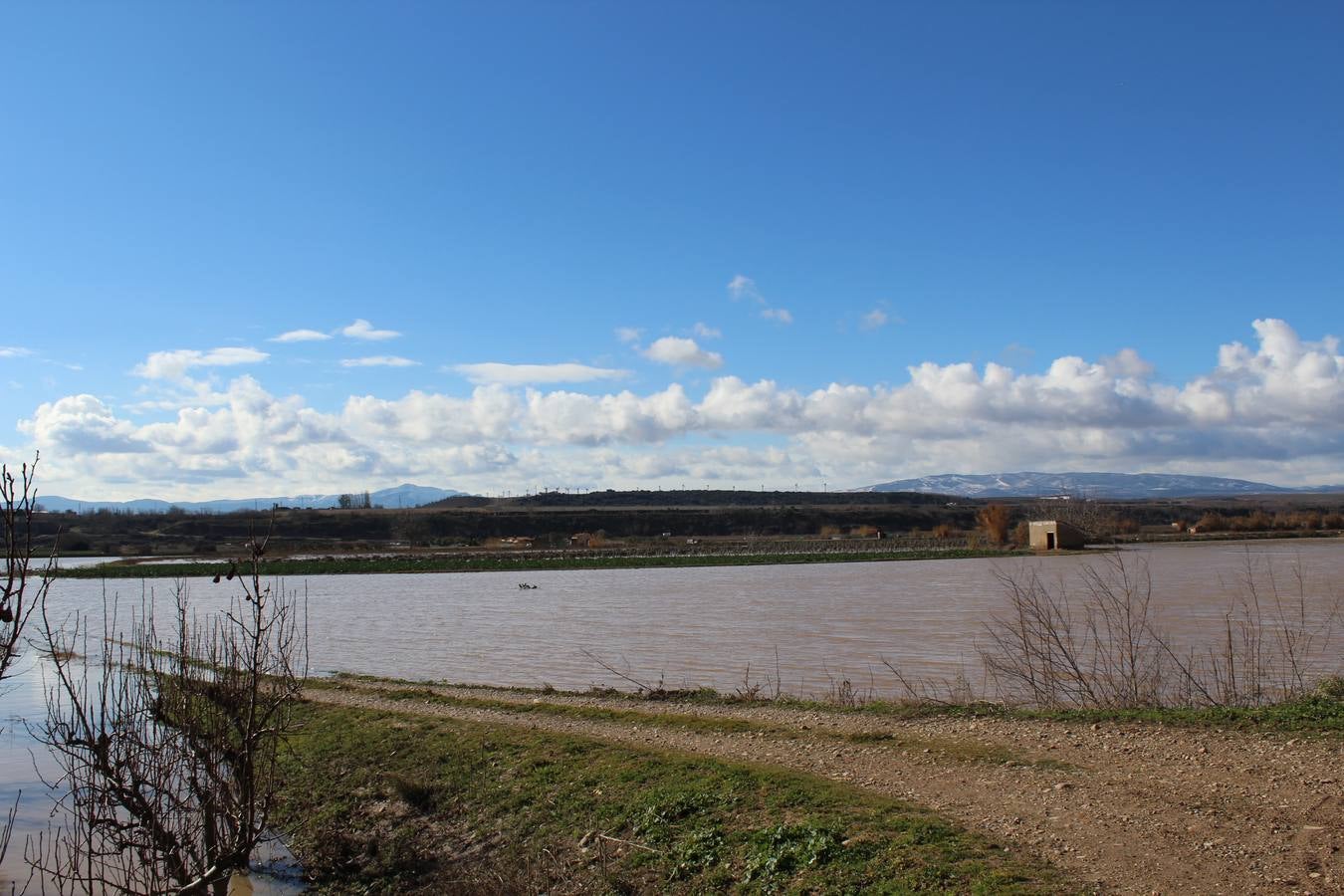 Los campos de Calahorra, anegados tras la riada