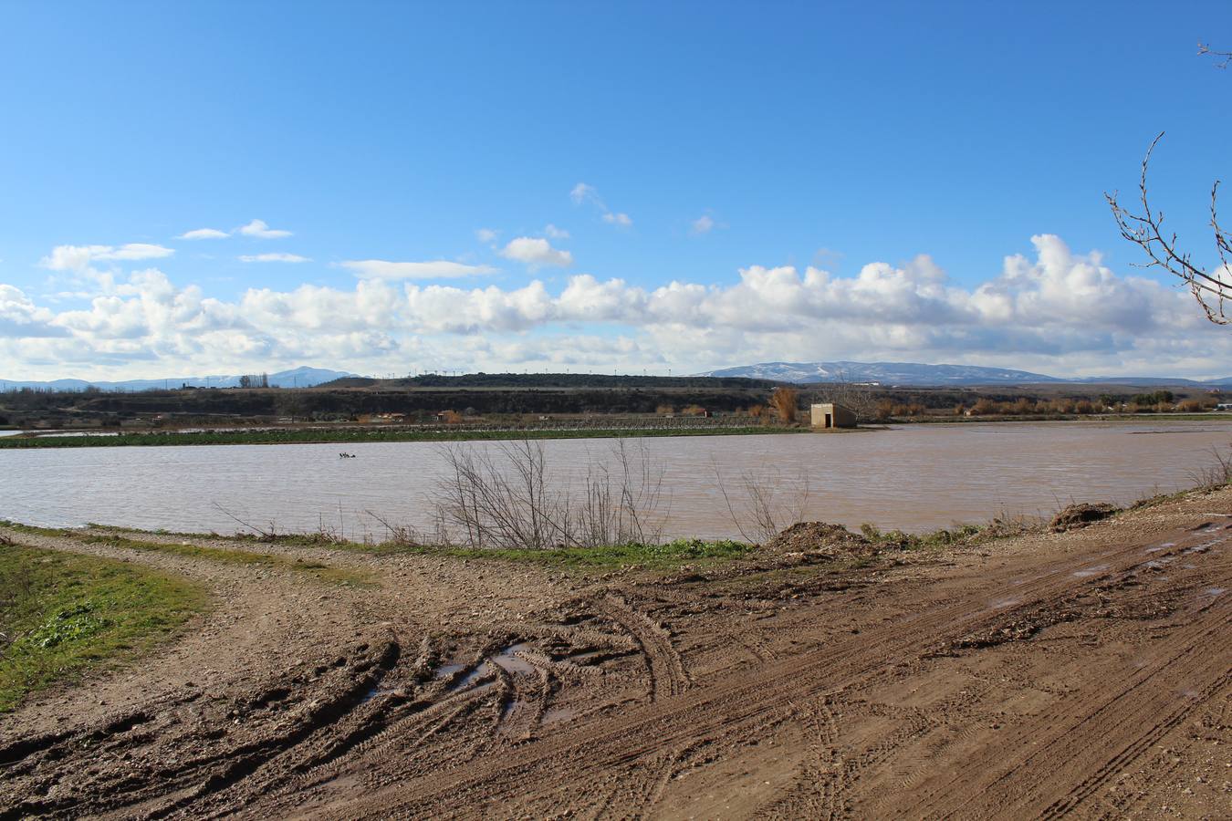 Los campos de Calahorra, anegados tras la riada