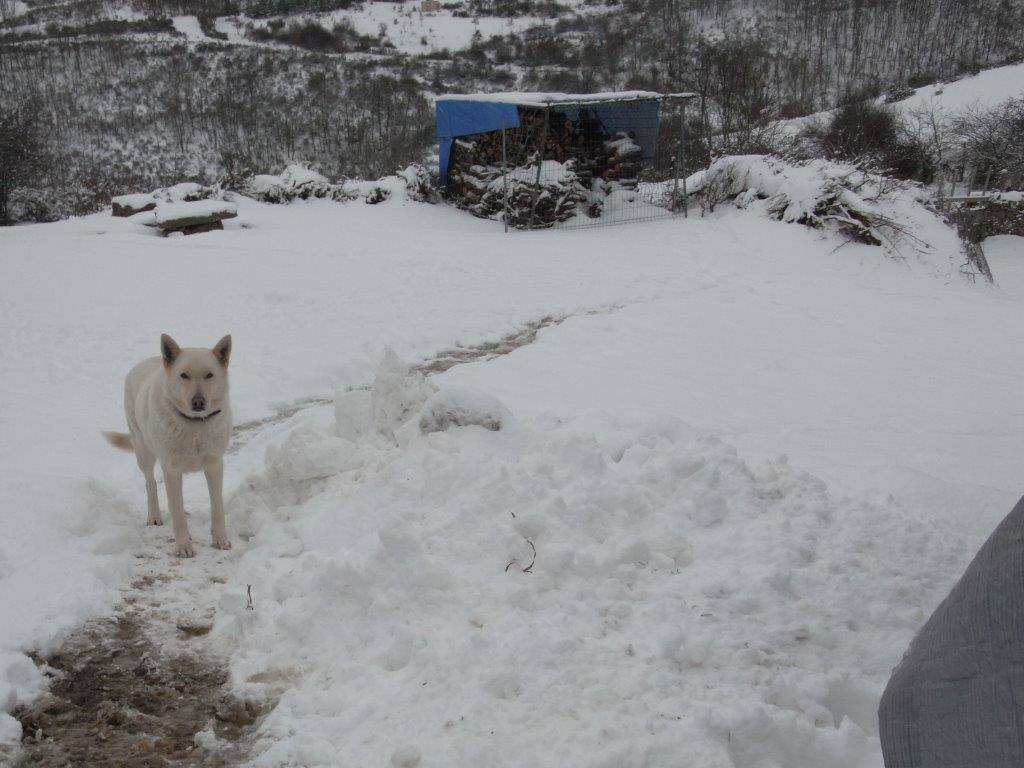 La nieve cubre La Rioja