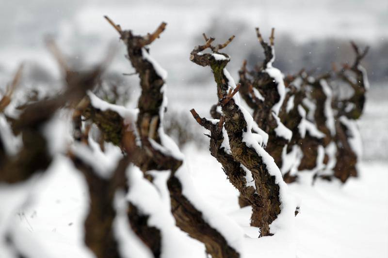 La nieve cubre La Rioja