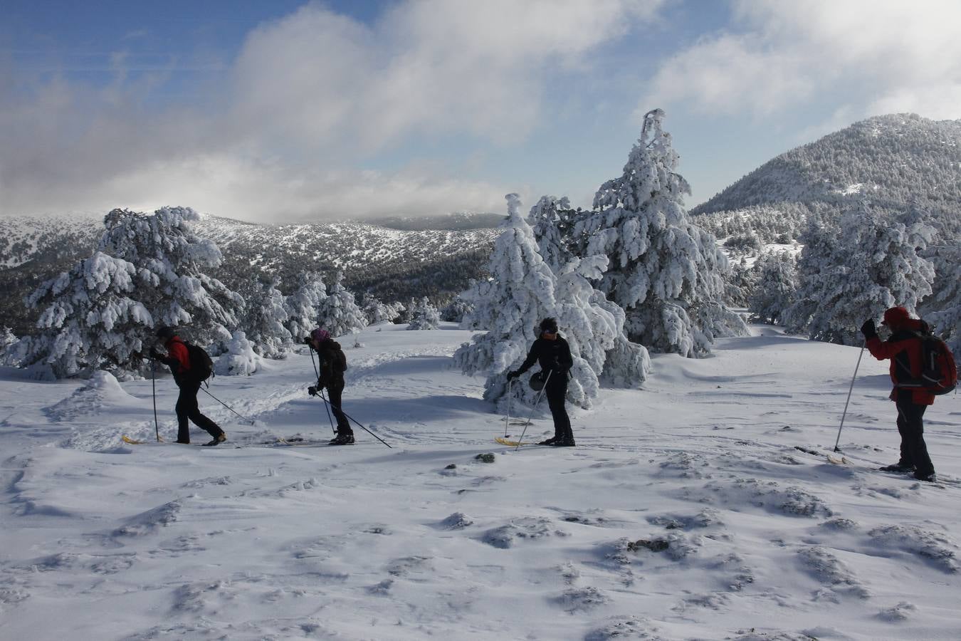 Viguera y Hoyos de Iregua, helados