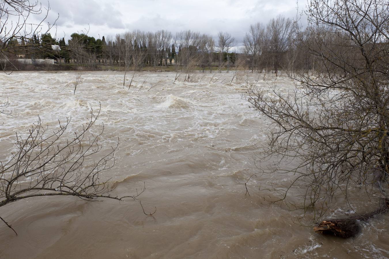 El Ebro amenaza Logroño