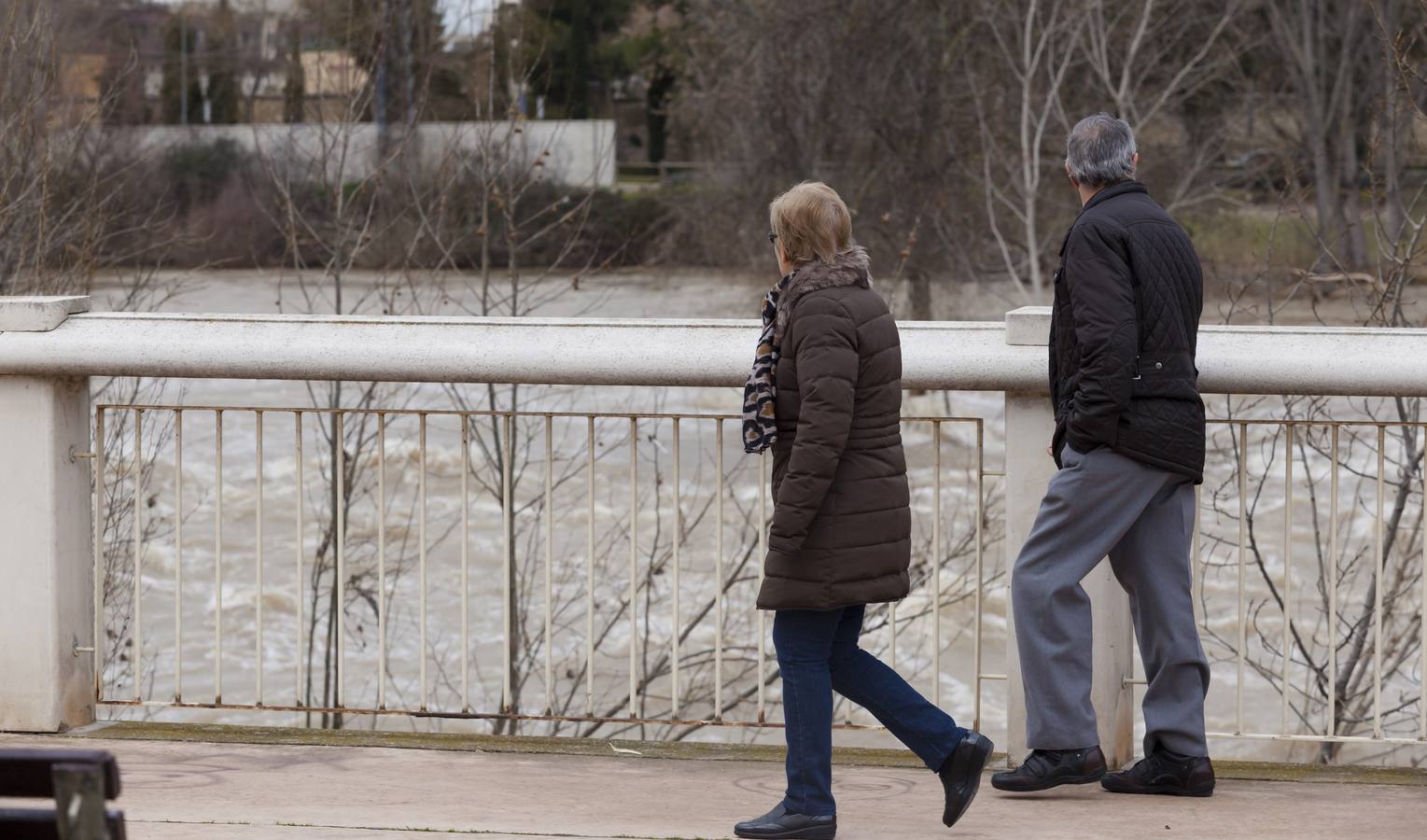 El Ebro amenaza Logroño