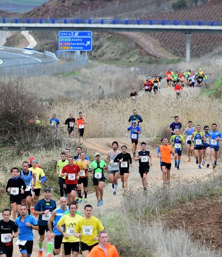 Media Maratón del Camino (III)