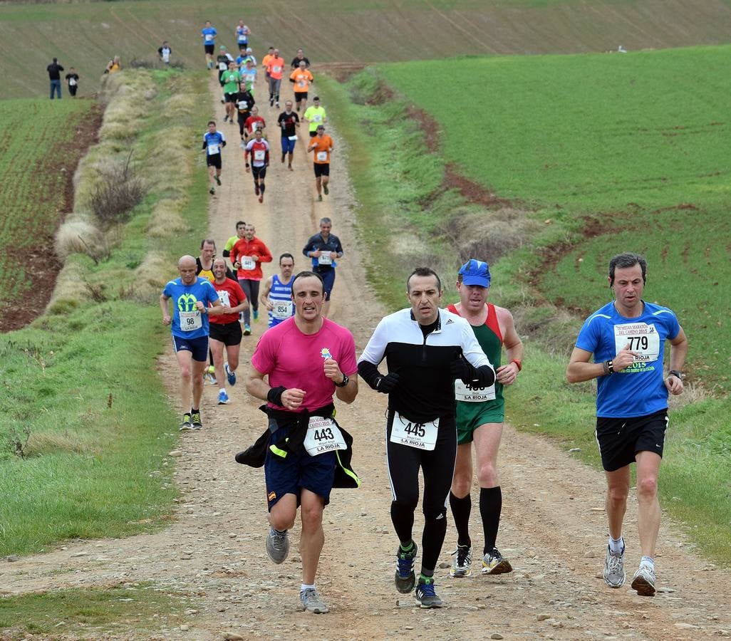 Media Maratón del Camino (III)