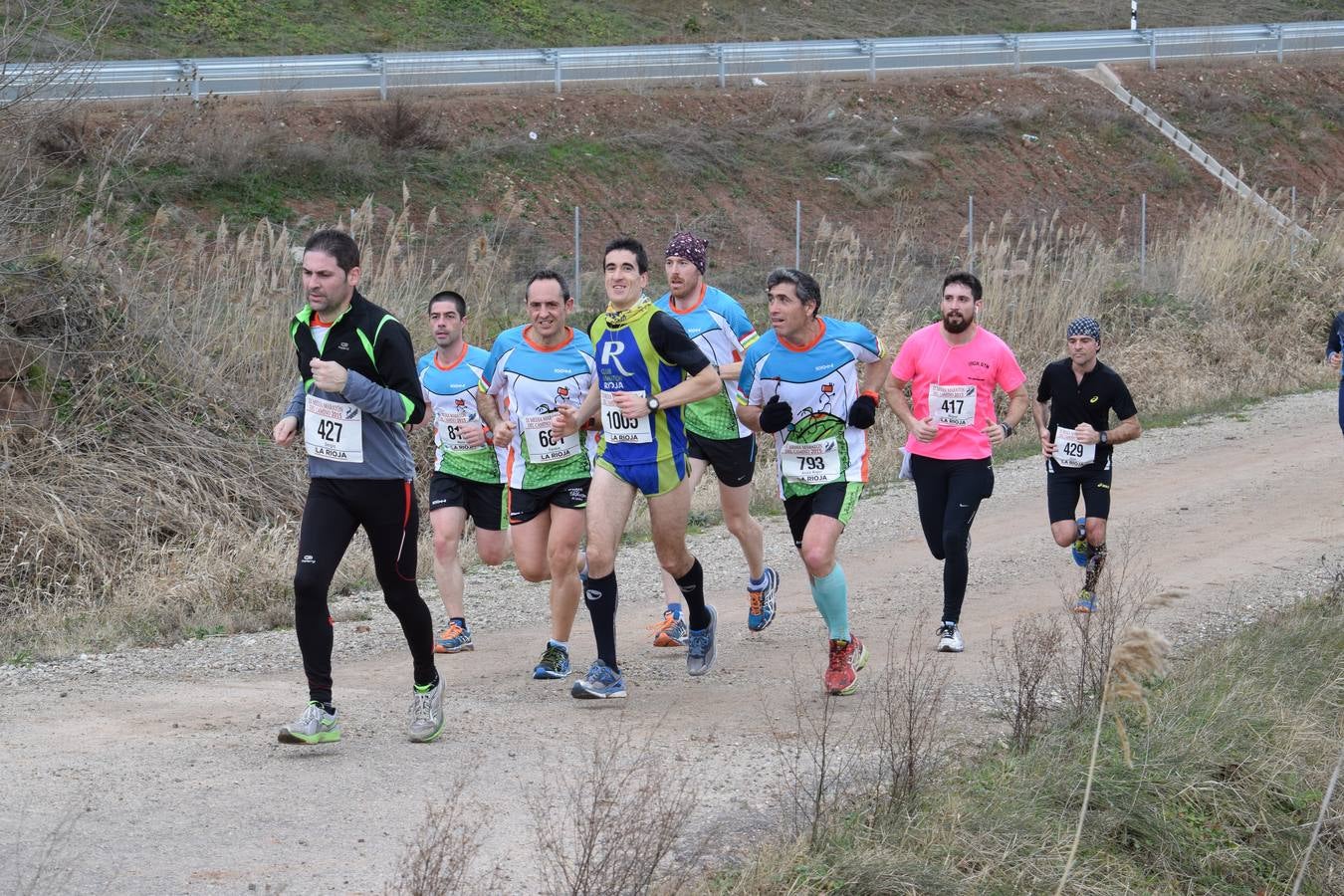 Media Maratón del Camino (III)