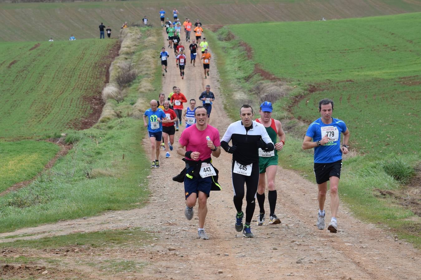 Media Maratón del Camino (III)