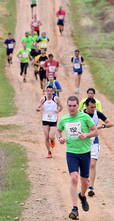 Media Maratón del Camino (III)