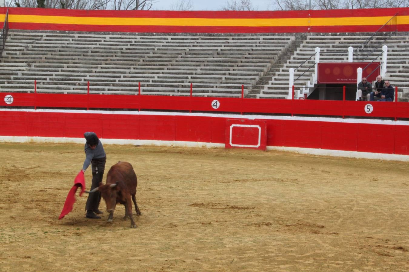 Tentadero de vacas en Alfaro