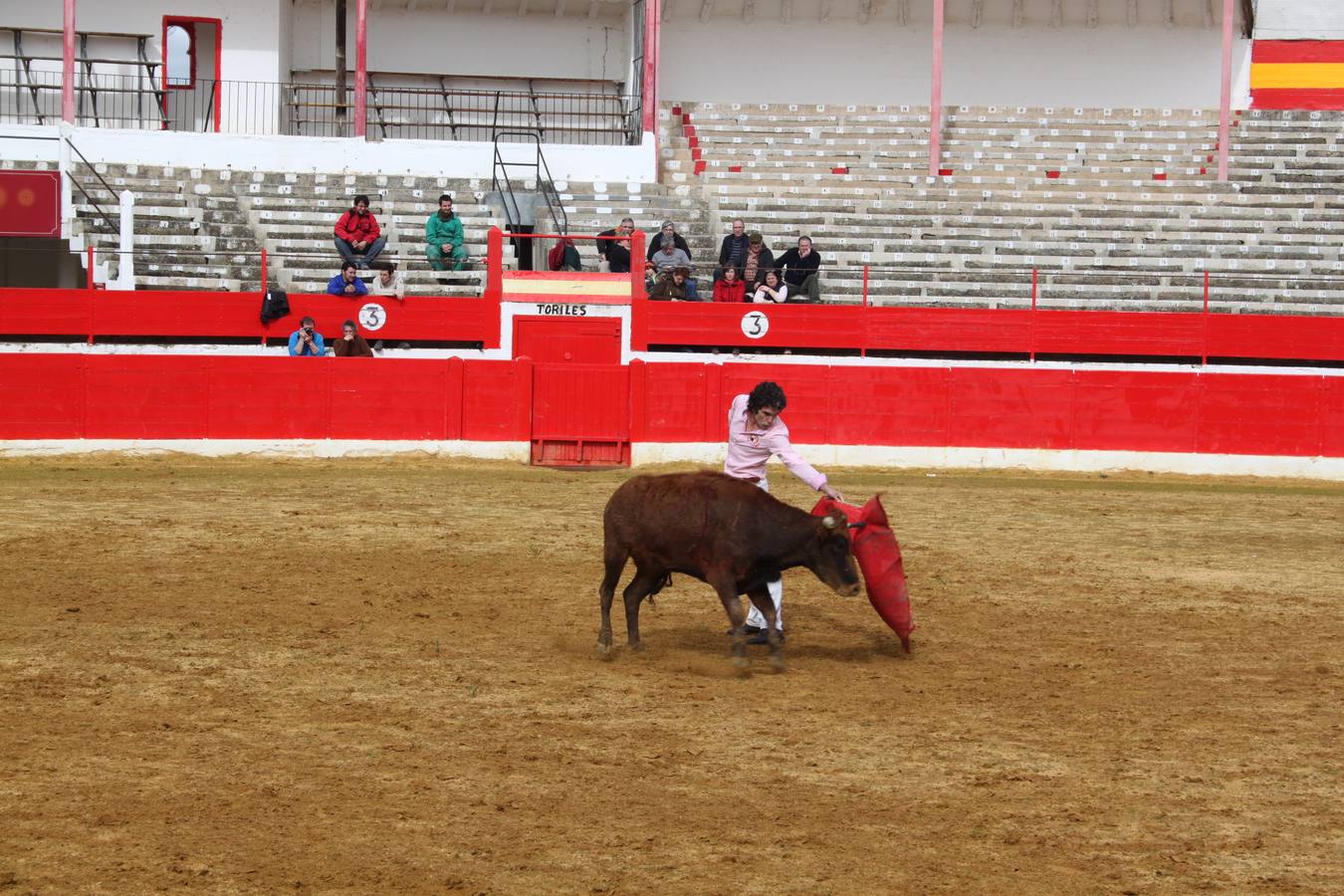 Tentadero de vacas en Alfaro