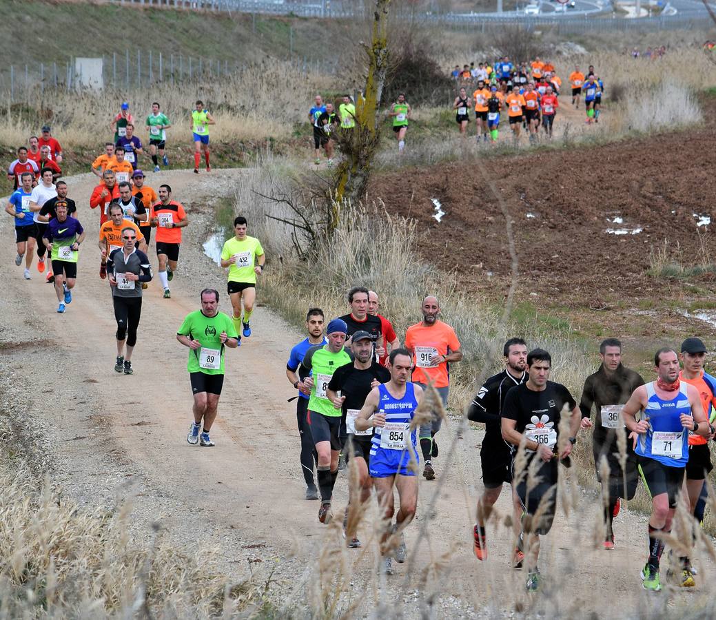 Alberto Alba gana la Media IX Maratón del Camino (I)