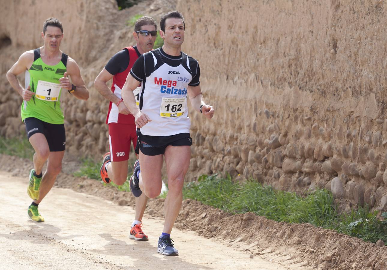 Carrera enoturística en Aldeanueva de Ebro