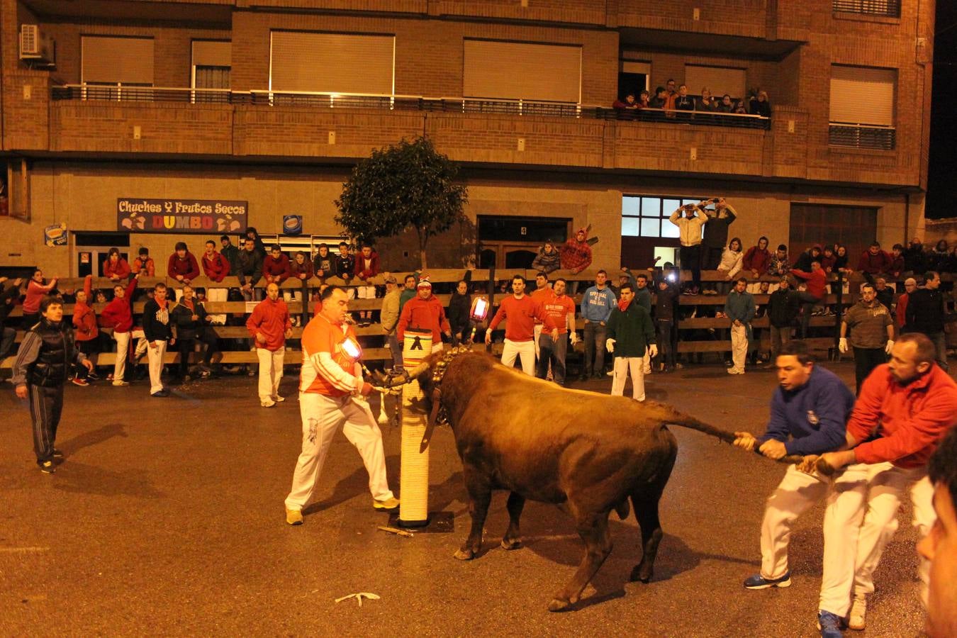 Novillada y vaquillas en Arnedo