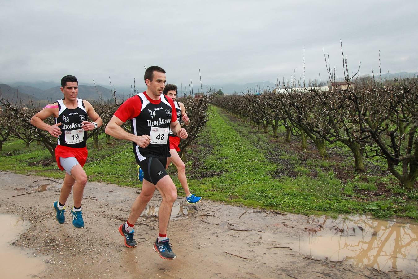 III Carrera Valle del Iregua