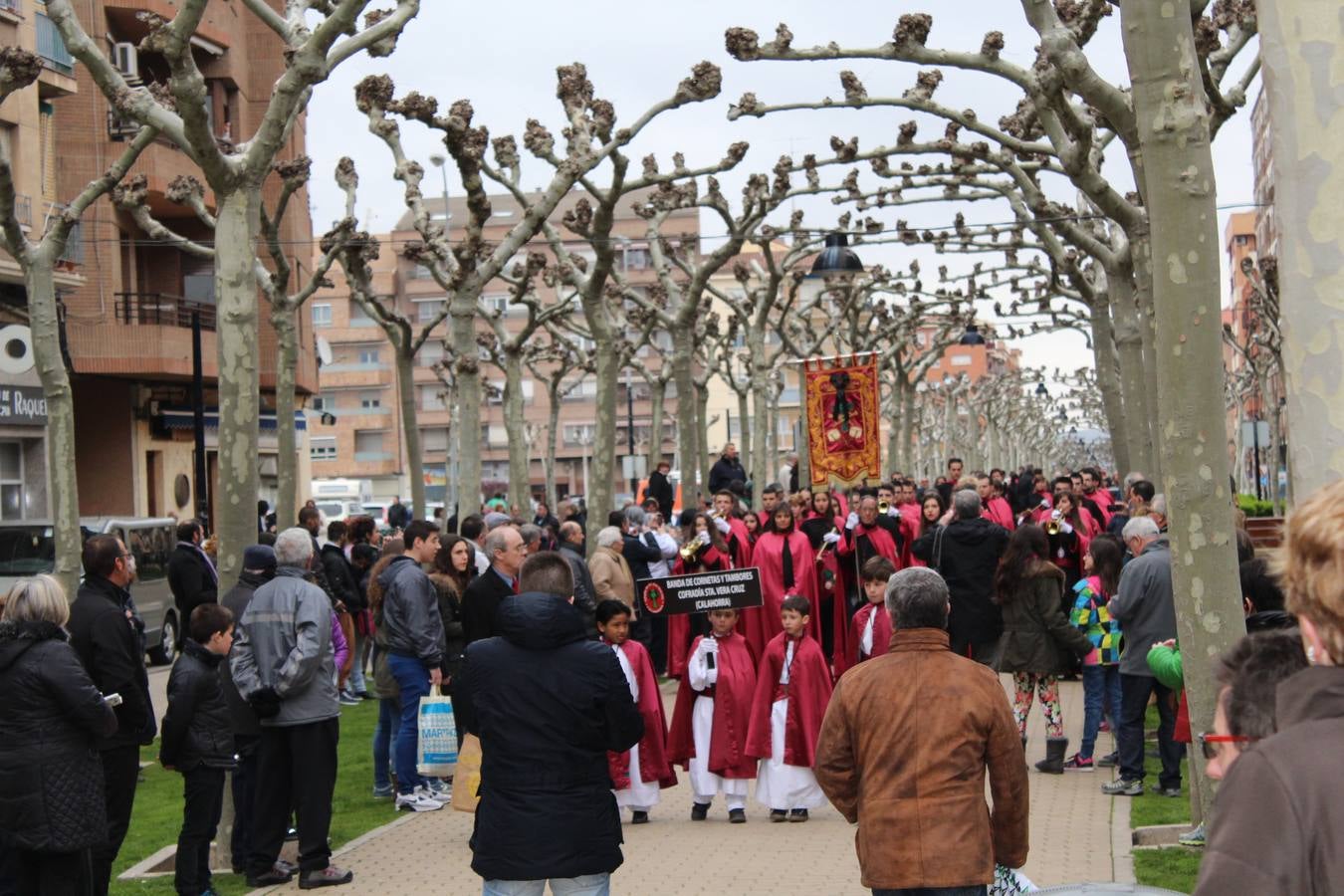 La Concentración de Bandas y Tambores de Calahorra