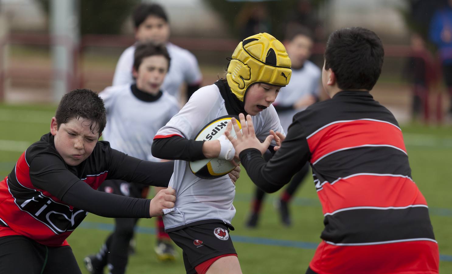 El rugby riojano está de estreno (I)