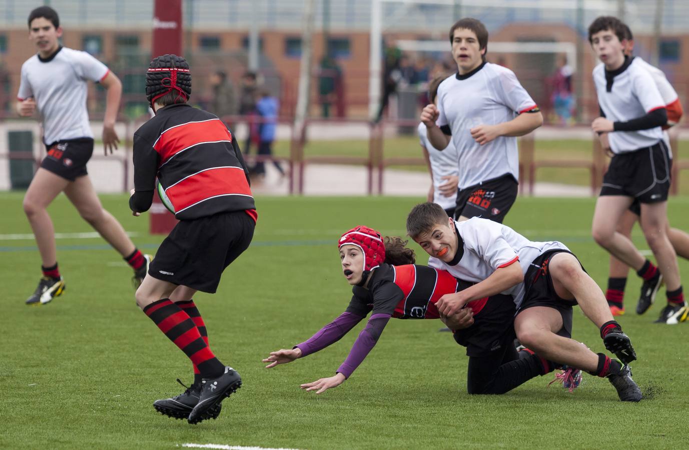 El rugby riojano está de estreno (II)