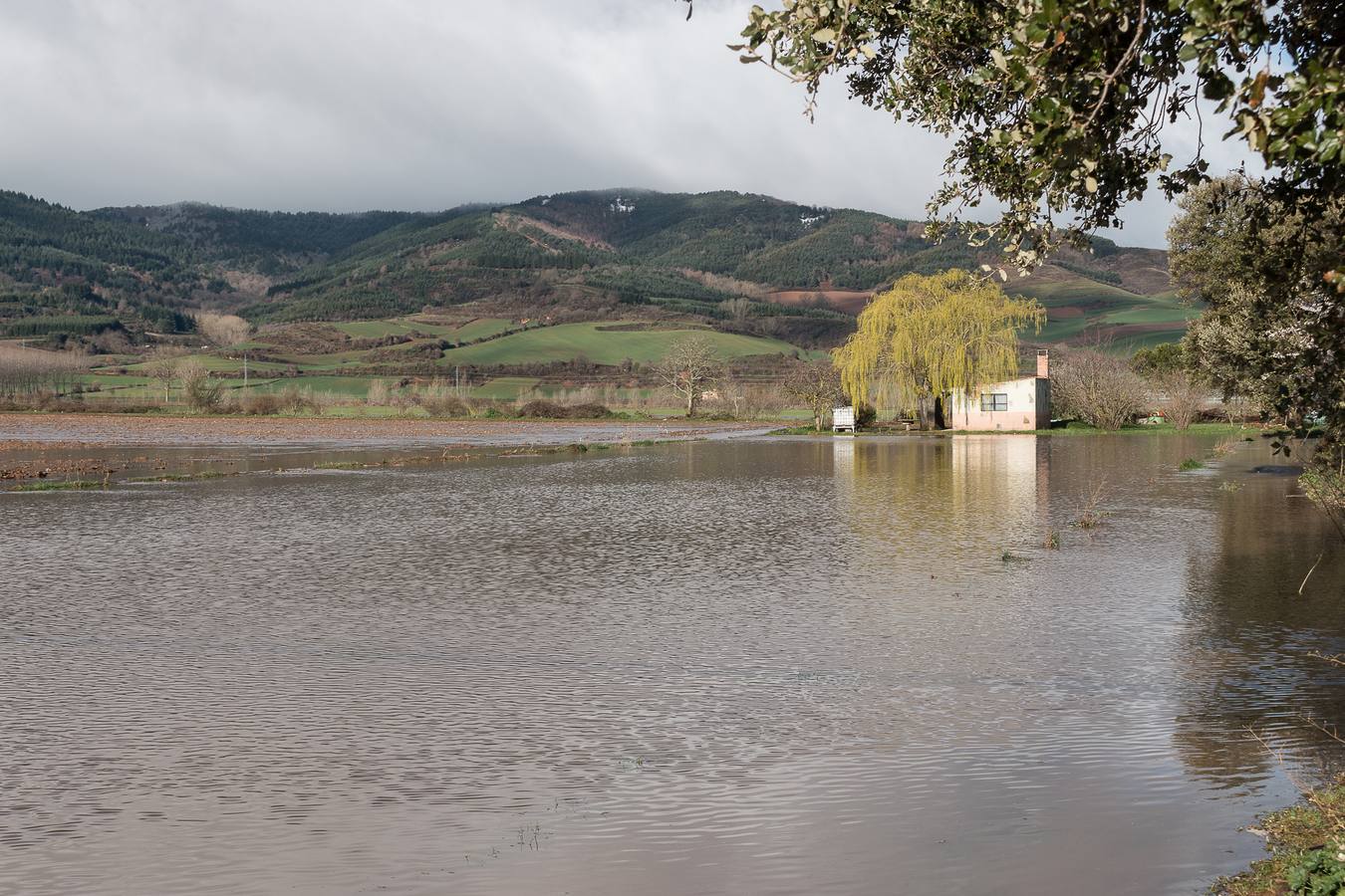El Oja anega fincas y carreteras en Ojacastro y Santo Domingo