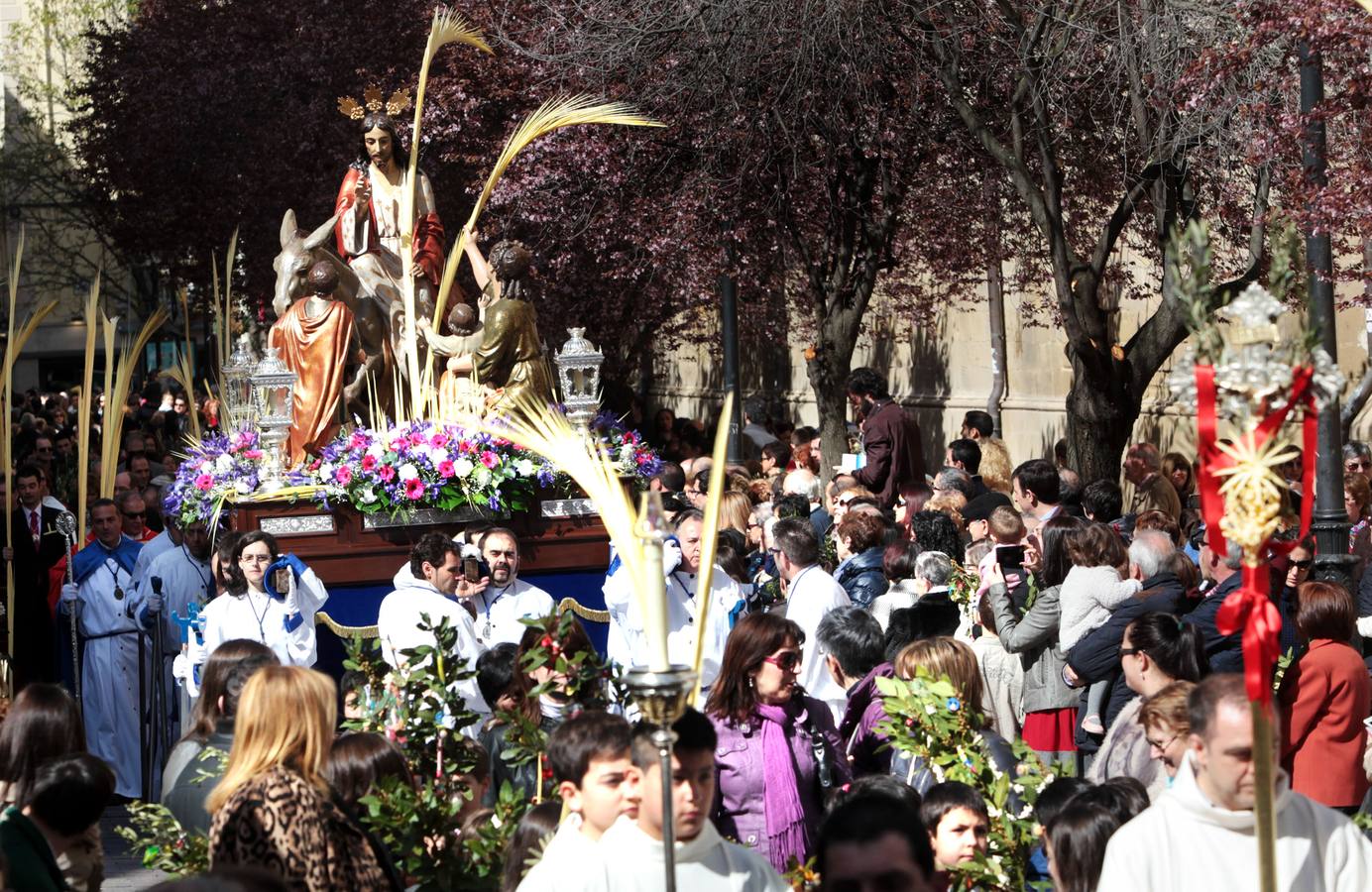 Domingo de Ramos en Logroño