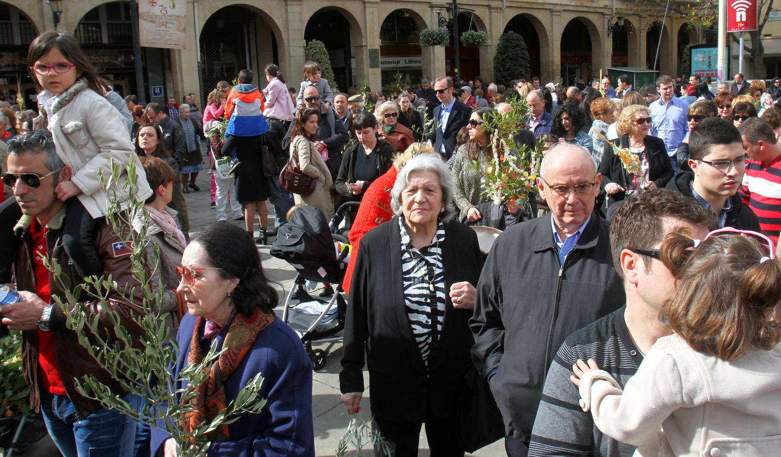 Domingo de Ramos en Logroño