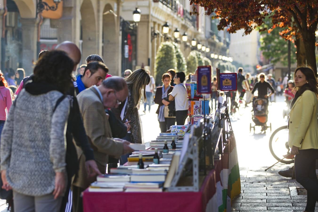 Logroño celebra el Día del Libro