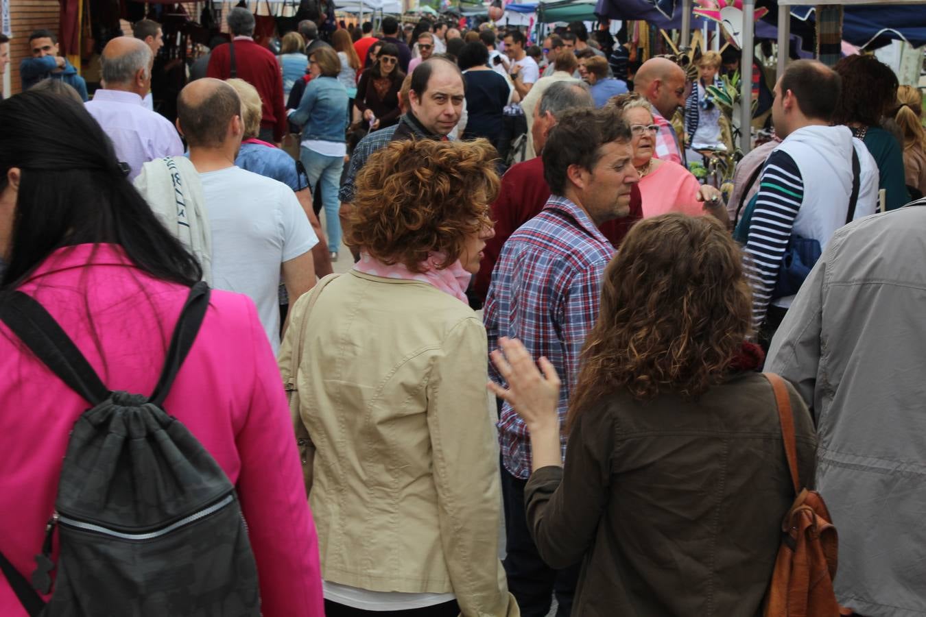 Feria del ganado en Rincón de Soto (I)