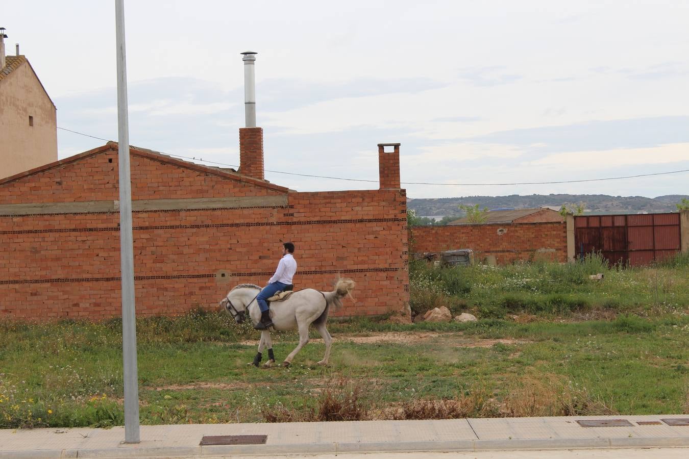 Feria del ganado en Rincón de Soto (I)