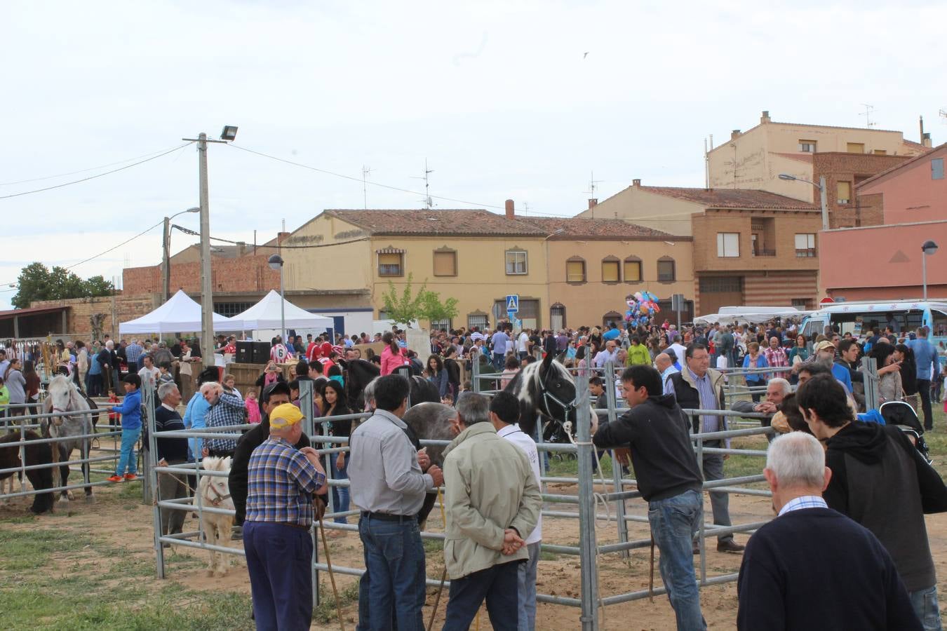 Feria del ganado de Rincón de Soto (II)