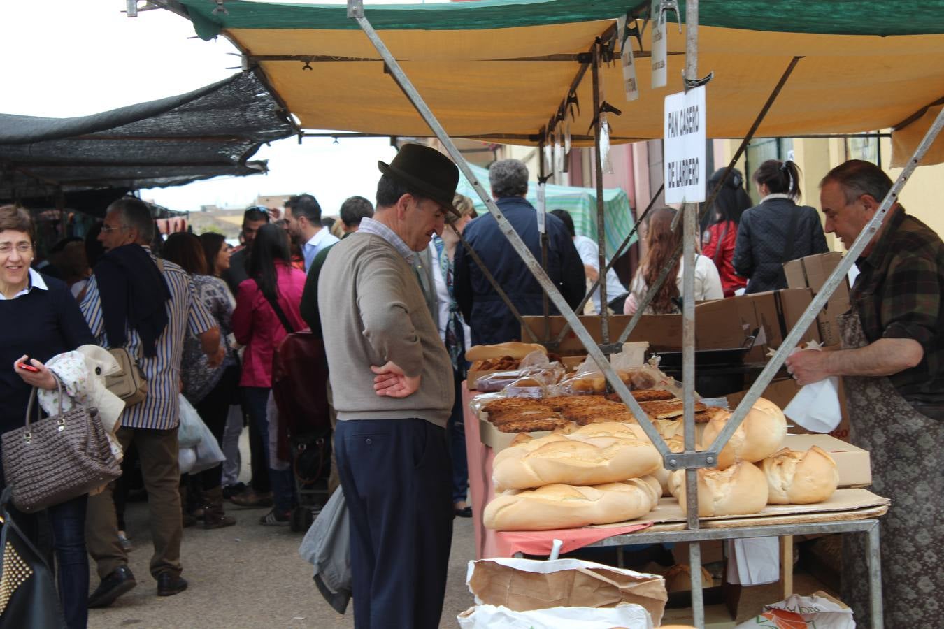 Feria del ganado de Rincón de Soto (II)