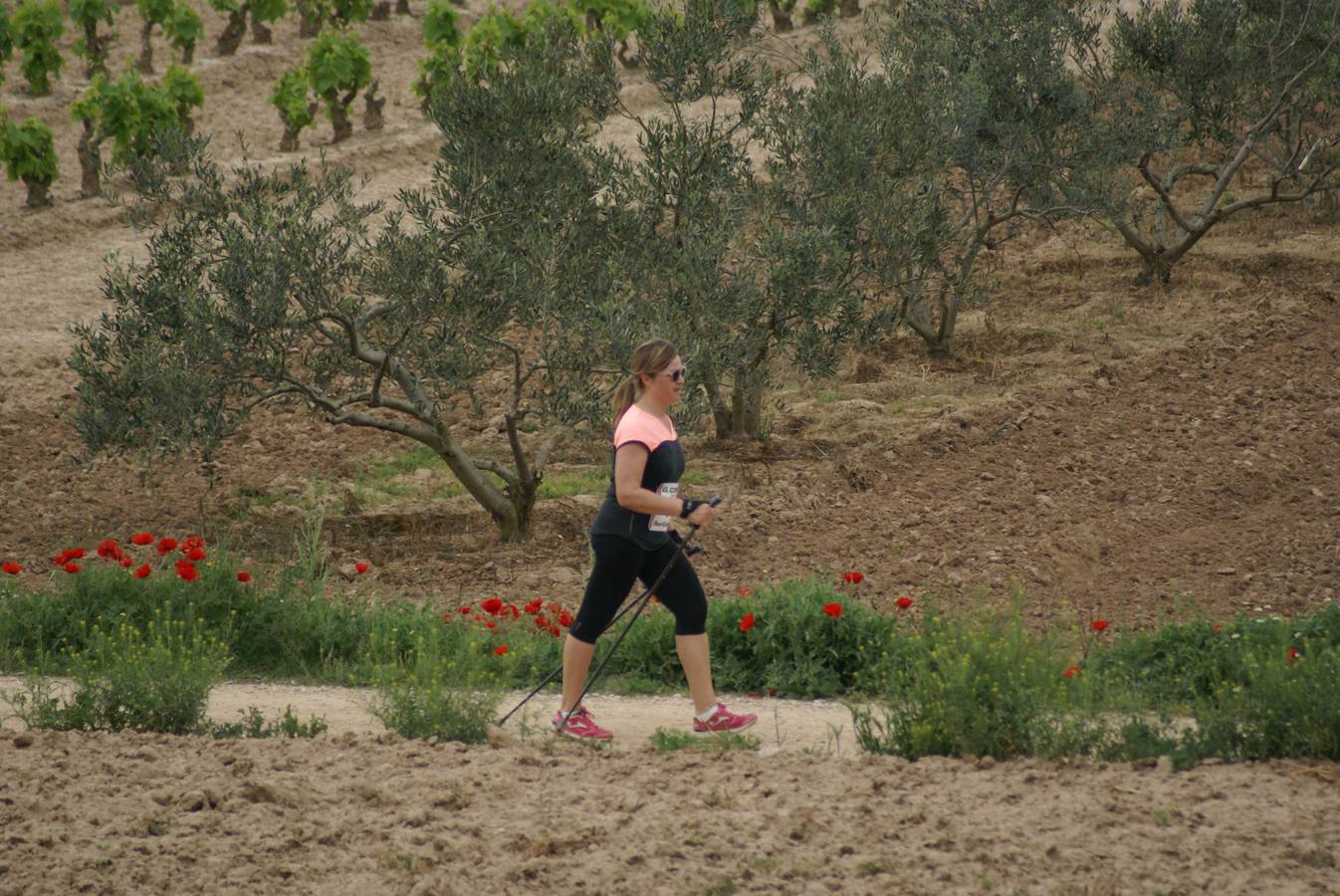 Novena edición de la carrera popular de montaña Salto de Aradón