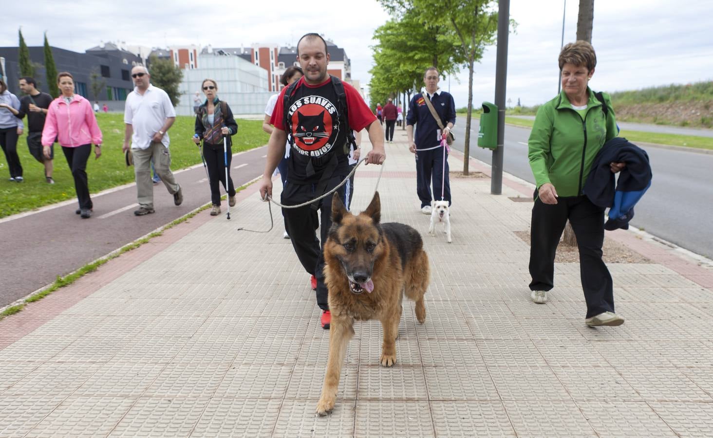 Unas 1.300 personas participan en el Paseo Saludable