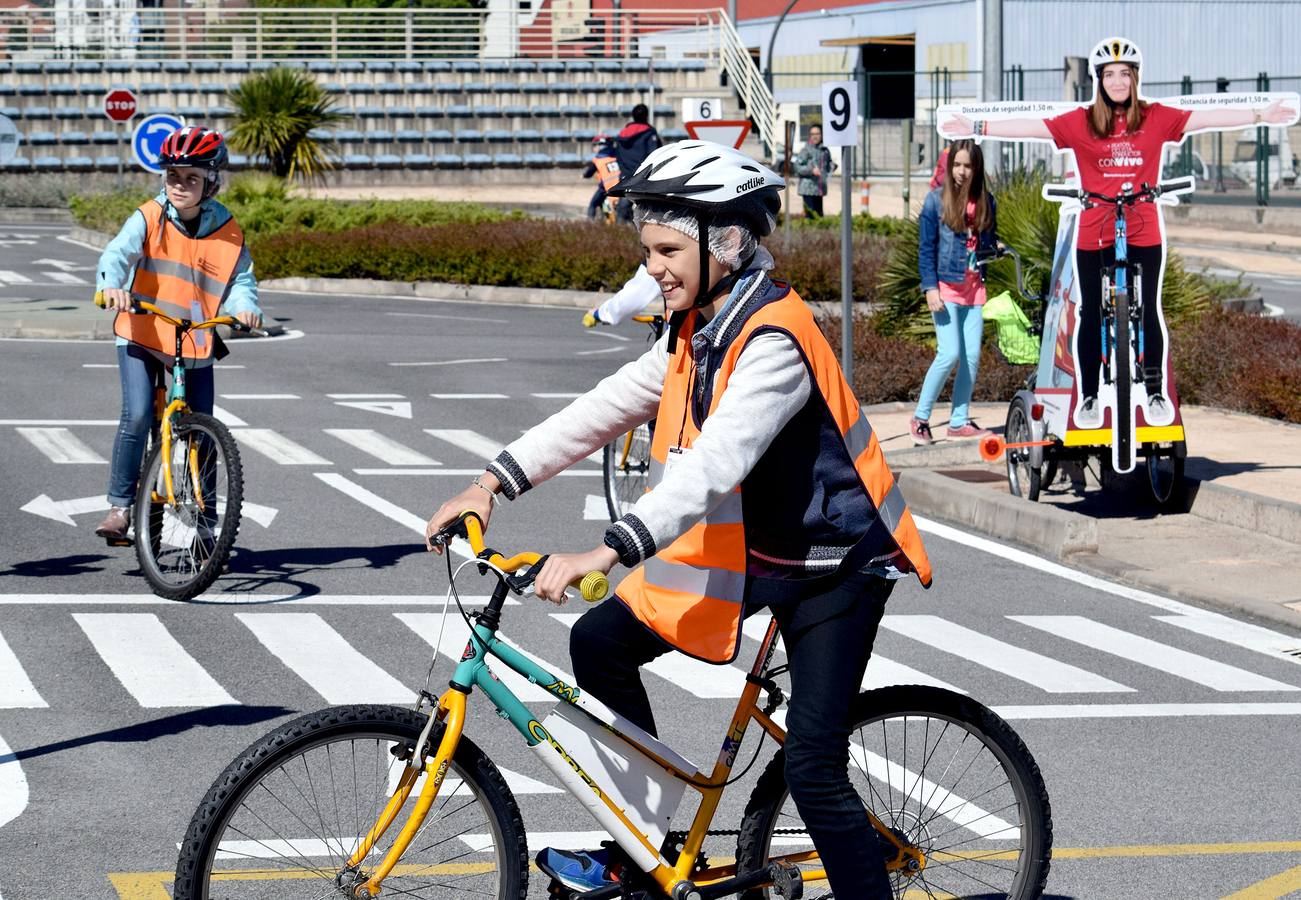 Educando en la Seguridad Vial