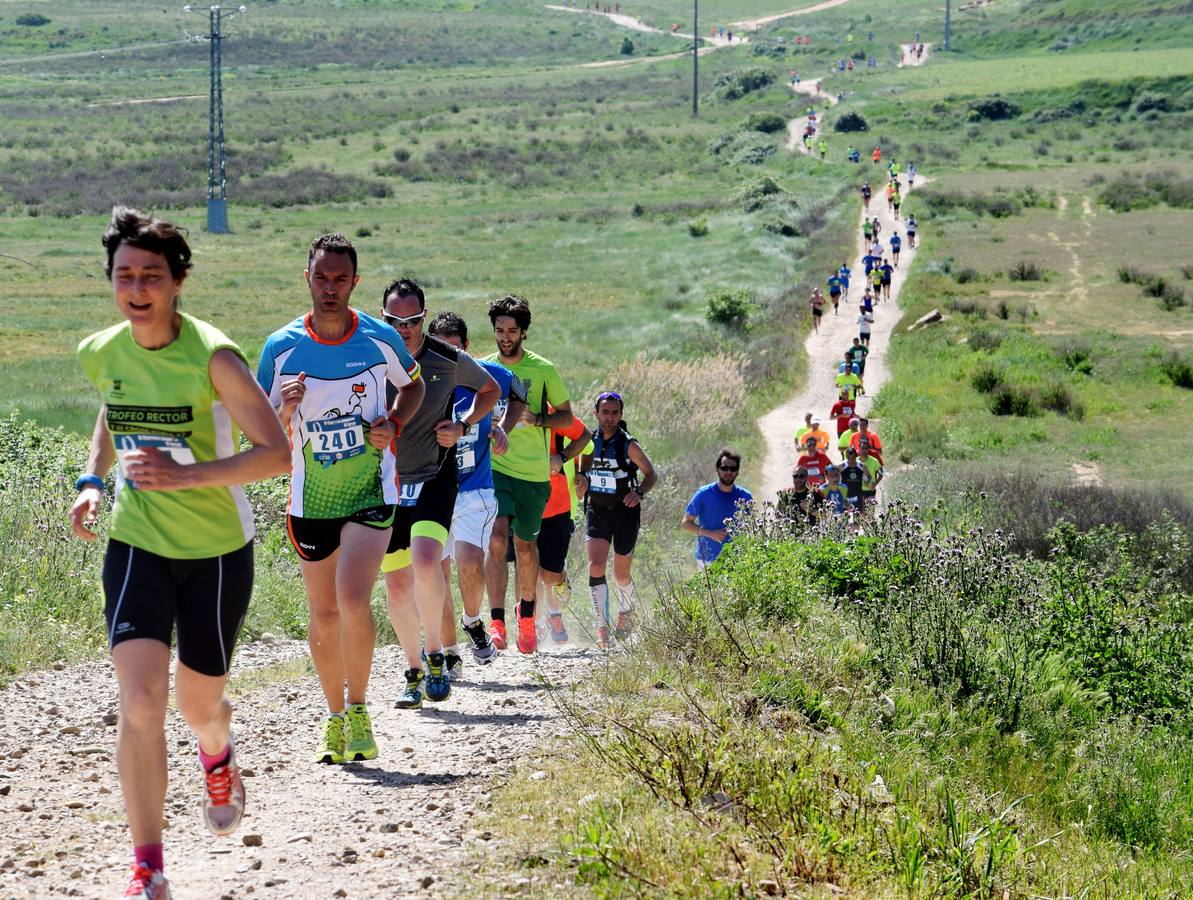 Carrera El Arco: Adultos